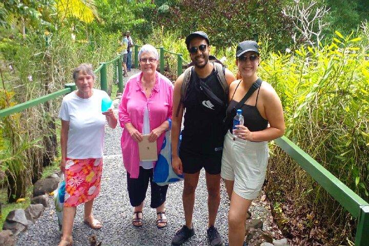 Garden of Sleeping Giant with Sabeto Hotspring Mudpool Tour