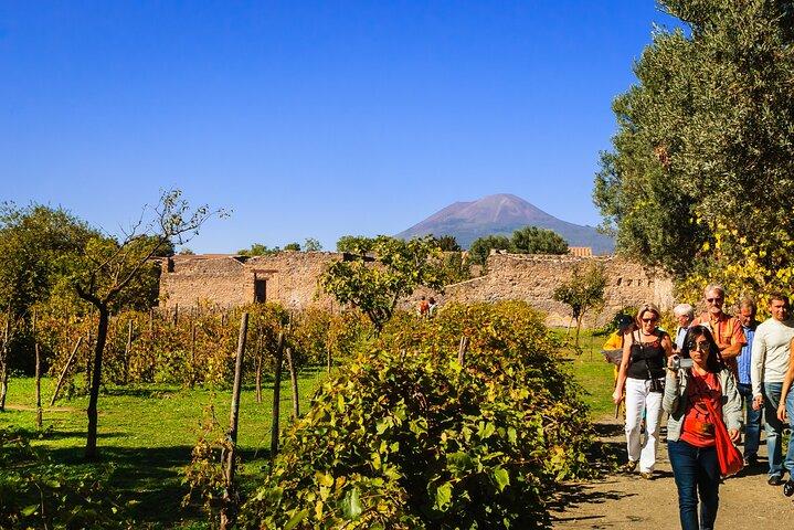 Vesuvius Wine Tasting & Lunch: Vineyard Tour from Naples
