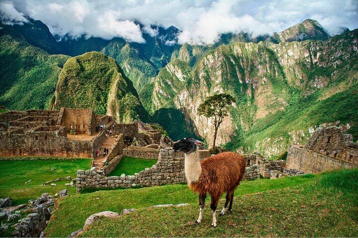 Private Guided Tour in Machu Picchu