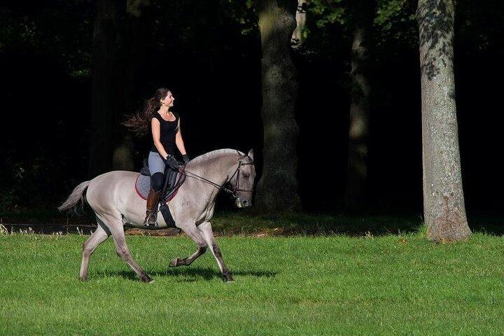 Private Horseback Ride in the Palace of Versailles