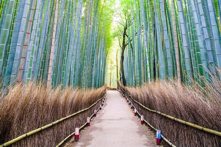 Kyoto:Private Highlights Tour with English Guide & Hotel Pickup