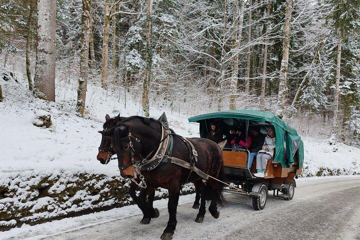 Neuschwanstein Castle incl. Munich Xmas Market walking tour
