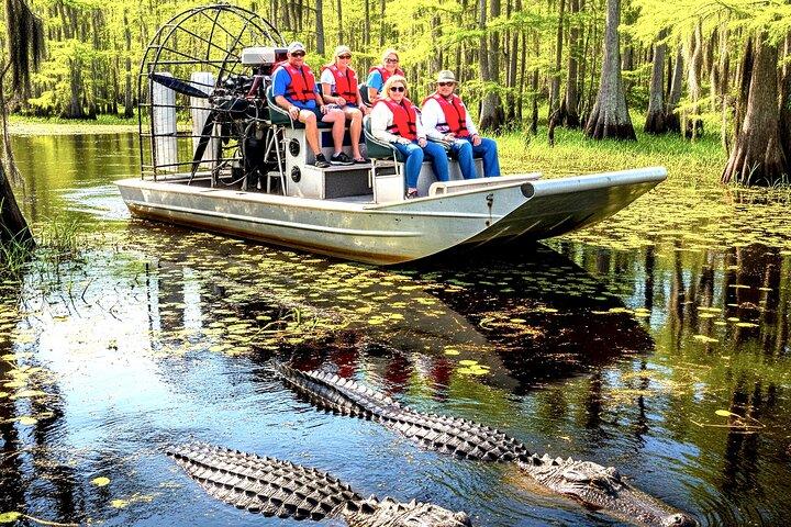 Everglades & Gator Spotting Airboat - free hotel pick up