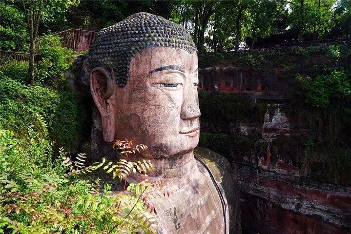Chengdu Panda Park Bus Tour with Option Leshan Giant Buddha
