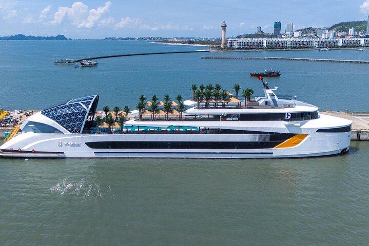 Dolphin Luxury Day Cruise: Discover Halong Bay in Style