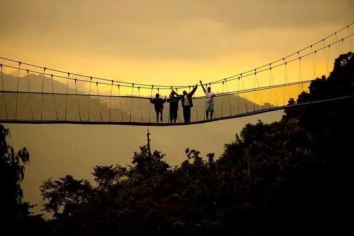 One Day Adventure in Nyungwe Forest, Canopy Walk and Zipline.