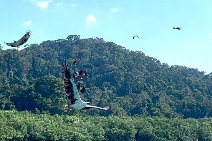 Shared Langkawi Island Hopping Tour Including Dayang Bunting Lake