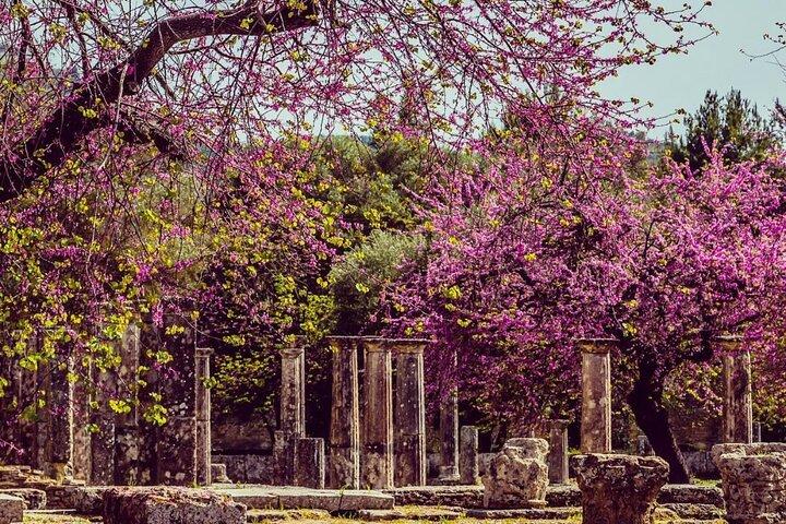 Ancient Olympia Roundtrip Transfer from Katakolo Port