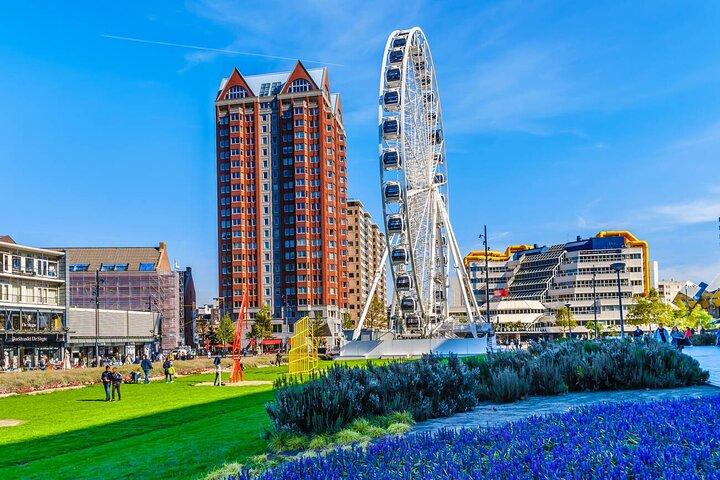 Private Day Trip To Rotterdam And Haarlem From Amsterdam