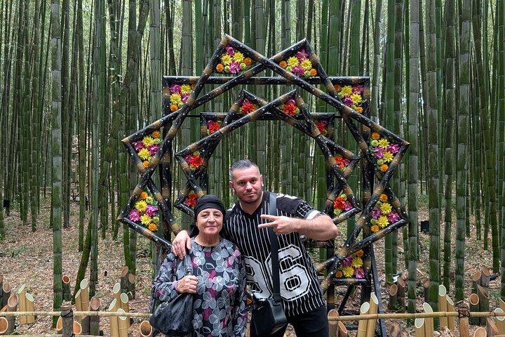 Kyoto Arashiyama Bamboo, Temple, Monkey or Local Mountain Brewery