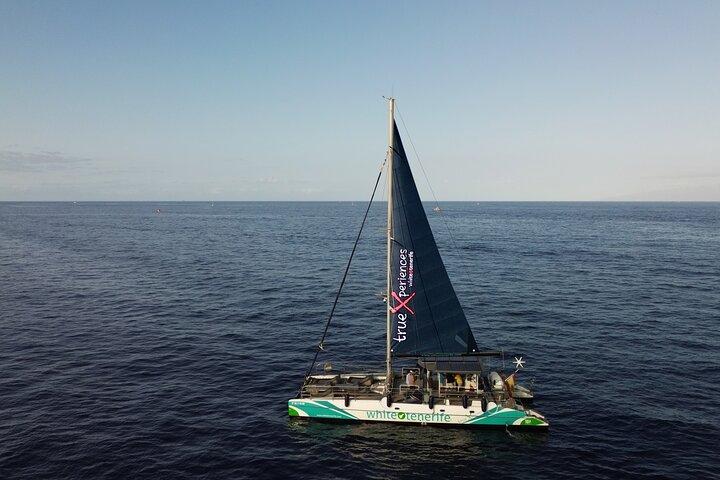 Watching and Listening Whales visiting Los Gigantes&Masca. Food&drinks included