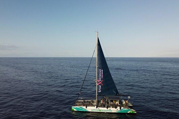 3-hour Whale and Dolphin Watching and Listening Tour