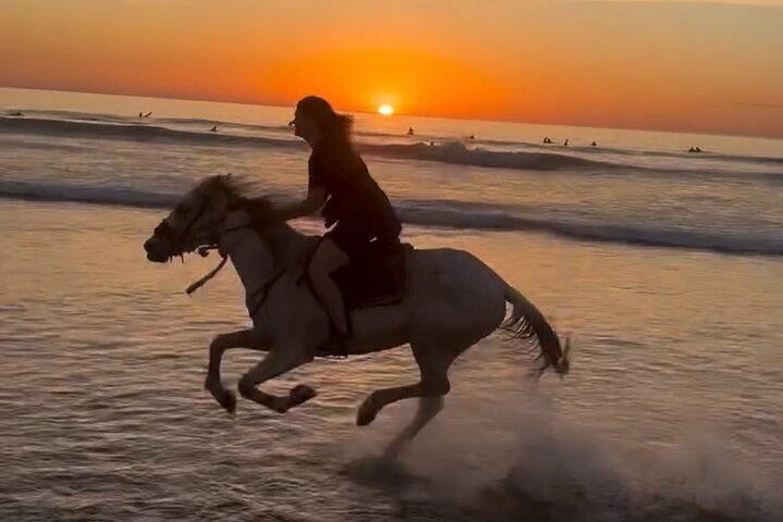 Taghazout Bay Beach Ride