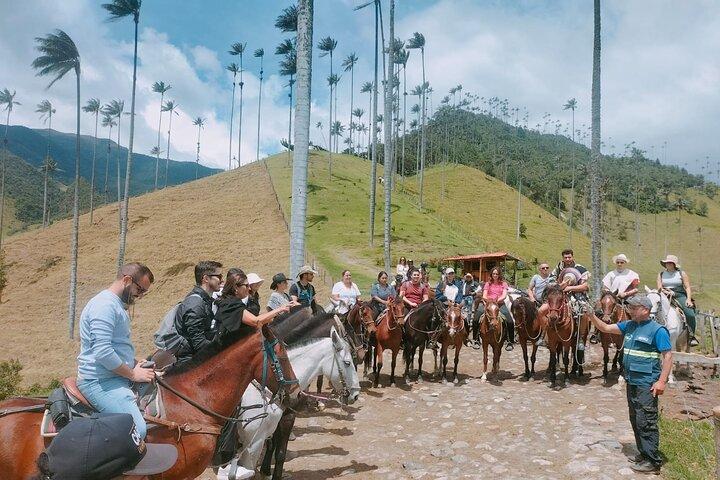 Salento, Cocora Valley and Philadelphia Accessible Plan