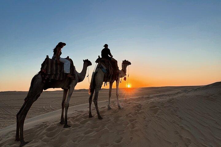 Siwa Oasis Camel Ride & Sandboarding Sunset or Sunrise