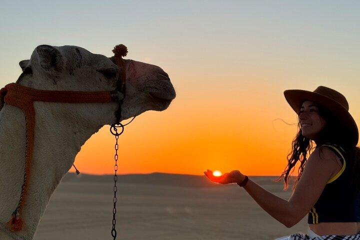 Siwa Oasis Camel Ride & Sandboarding Sunset or Sunrise