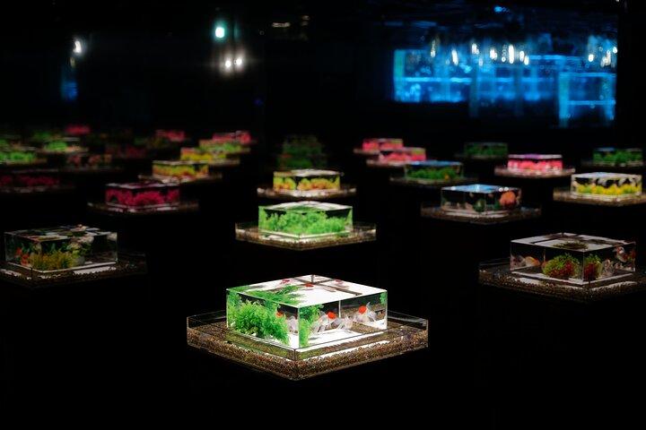 Art Aquarium Museum Ginza Admission Ticket