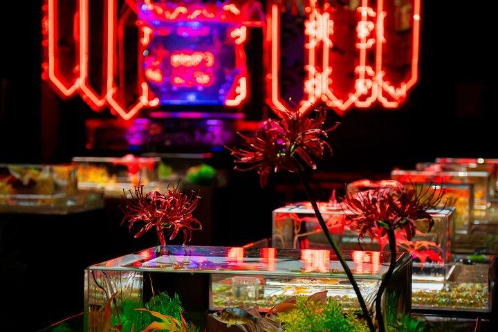 Art Aquarium Museum Ginza Admission Ticket