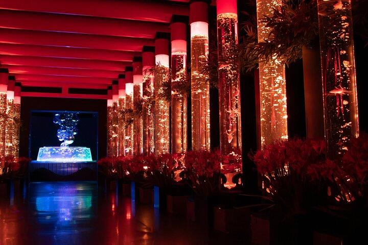 Art Aquarium Museum Ginza Admission Ticket