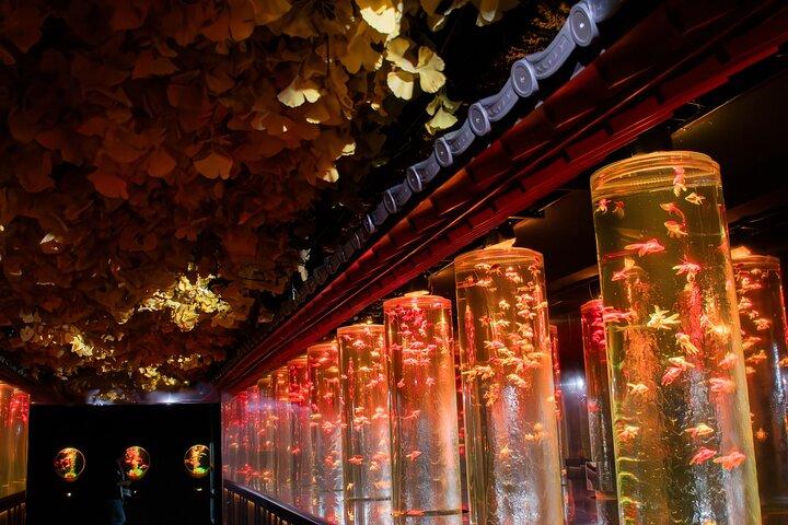 Art Aquarium Museum Ginza Admission Ticket