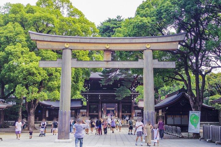 Tokyo Temples & Shrines Tour: Meiji Shrine, Asakusa & Zojoji