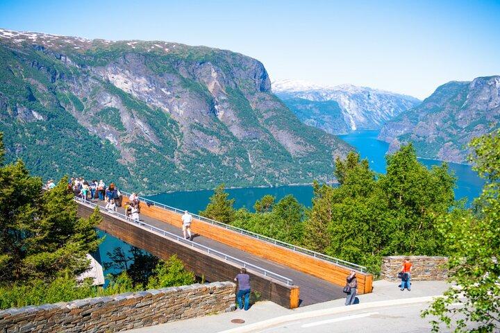 Guided day Tour - Nærøyfjord Cruise, Flåm & Stegastein Viewpoint