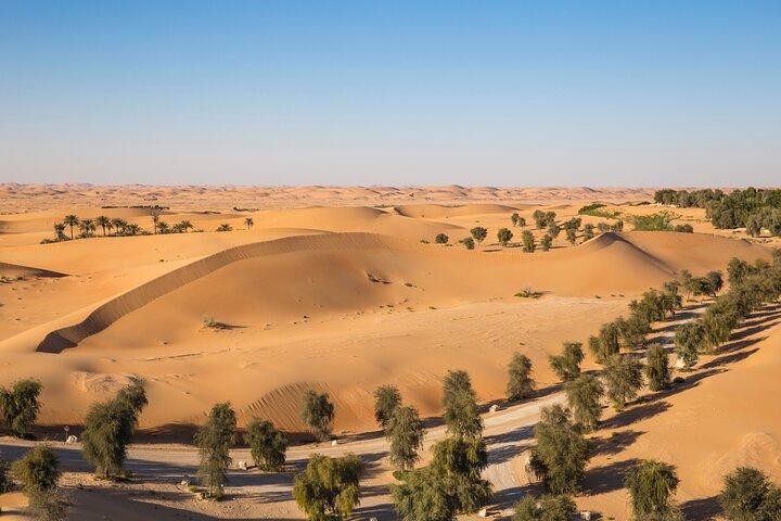 Full Day Al Ain City Tour with Lunch