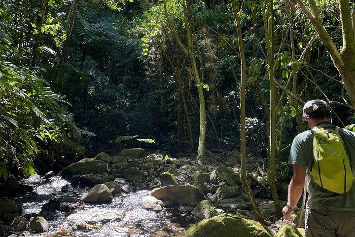 Full Day Private Sierra Nevada Tour with Transport