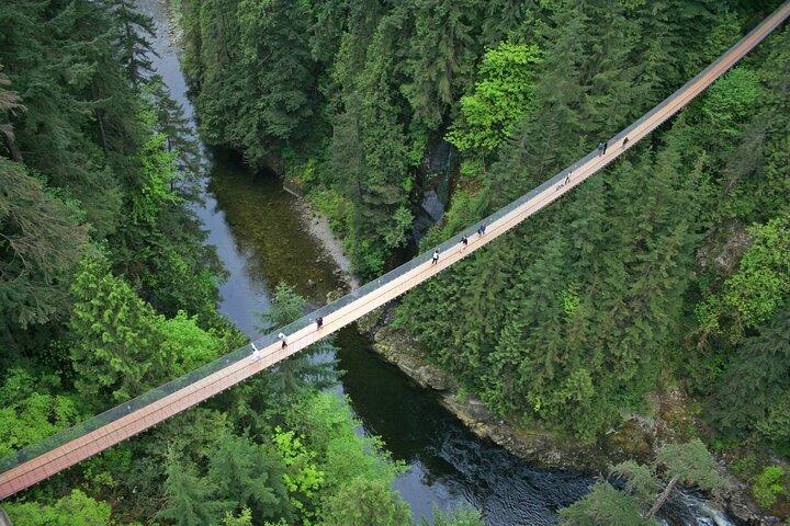 Capilano Suspension Bridge and Grouse Mountain Signature Tour