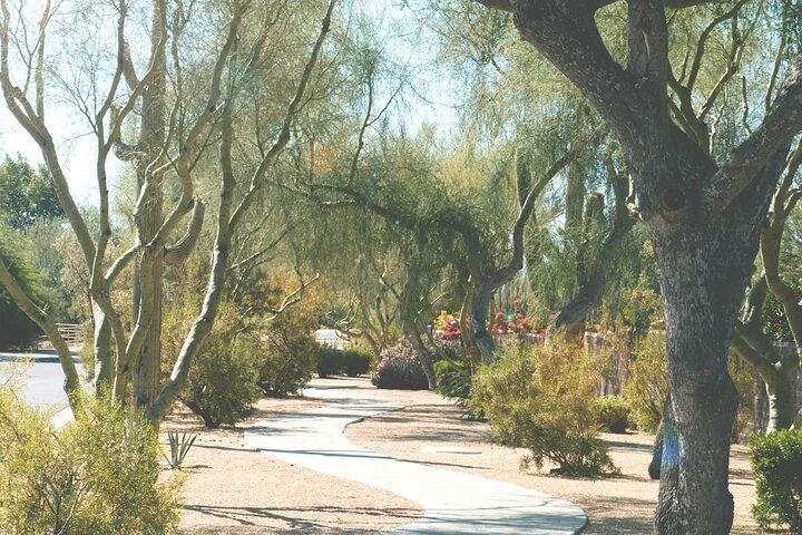 Scottsdale Self-Guided Walking Tour: Art & Desert Inspiration