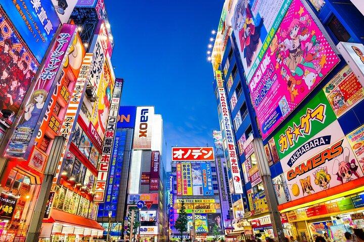Tokyo Private Tour with English Speaking Driver Customizable