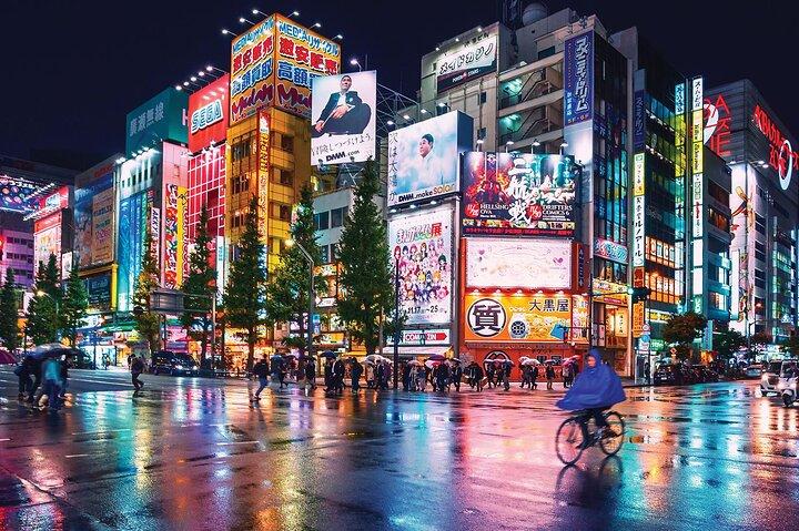 Tokyo Private Tour with English Speaking Driver Customizable