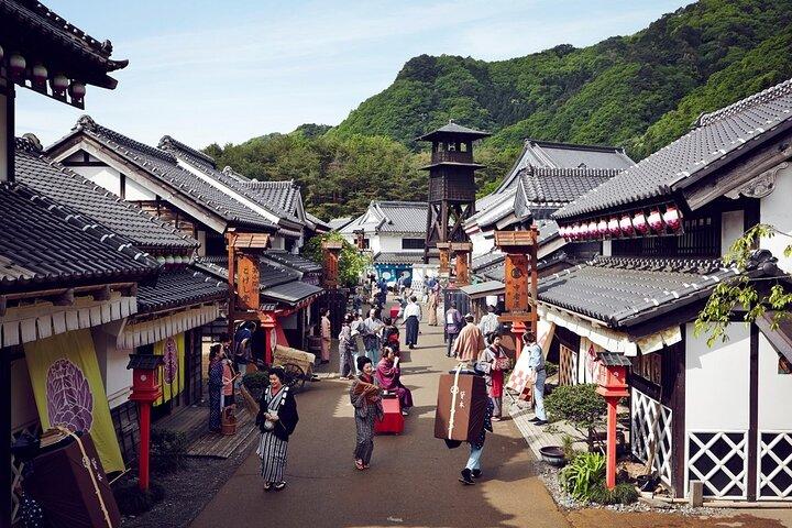 Nikko Full Day Private Tour with English-Speaking driver