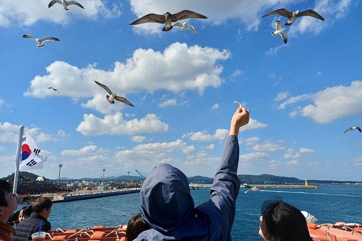Jeju Udo Electric Bike and Seongsan Ilchulbong Private Tour