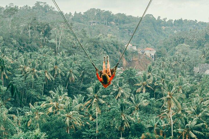 Jungle Swing, Monkey Forest, Rice Terrace and Temple Tour in Bali