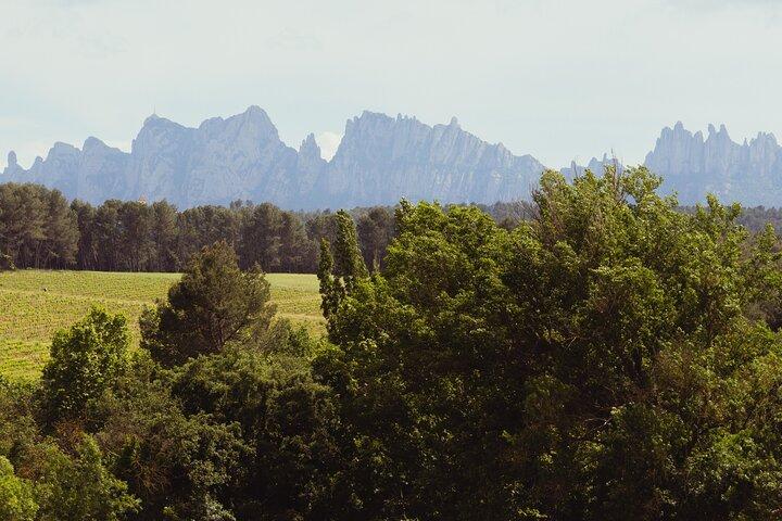 Montserrat & Boutique Winery with Catalan Brunch | Private Tour