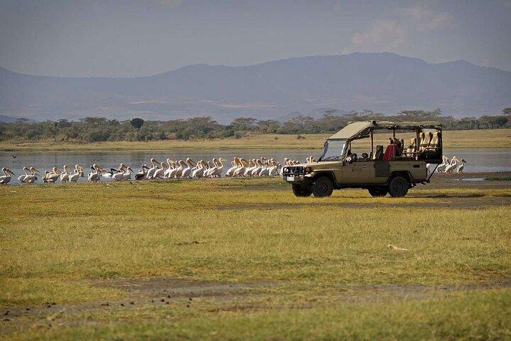 Amboseli National Park 4WD Tour from Nairobi