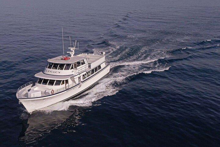 San Diego Dolphin Watch Sunset Cruise on Legacy Whale Watch