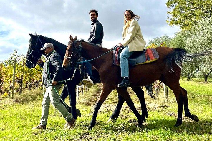 Horseback Ride Farm Visit and Lunch at Montepulciano