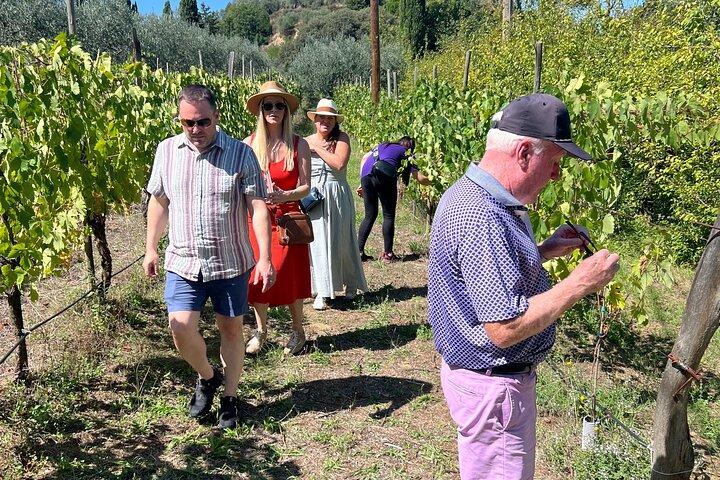 Horseback Ride Farm Visit and Lunch at Montepulciano