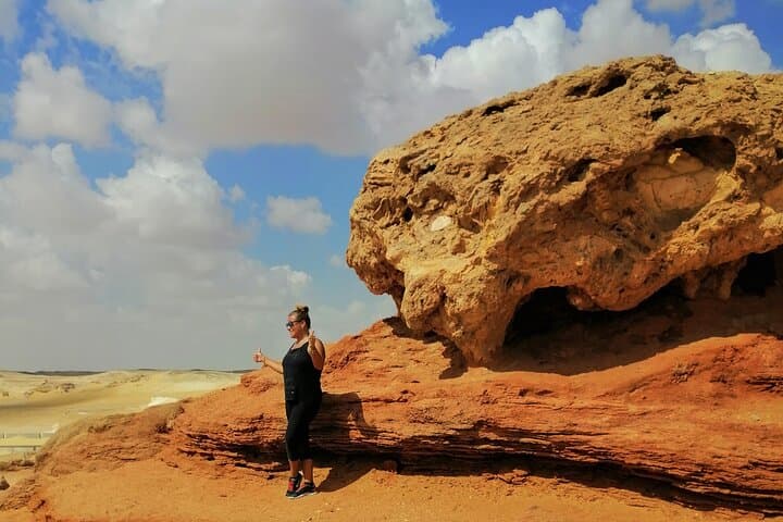 Over day Tour to Al Fayoum oasis from Cairo
