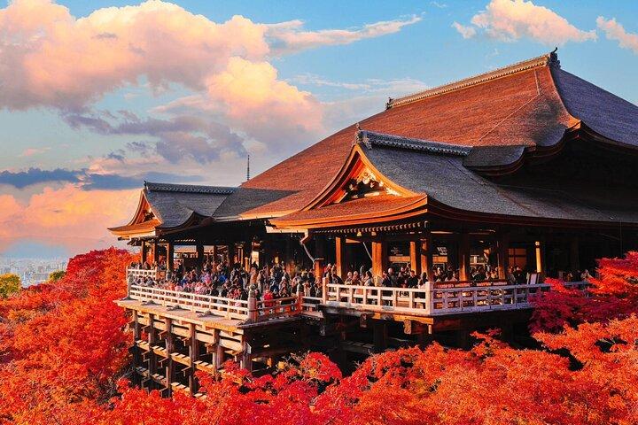 Private Kyoto Nara Private Tour from Osaka