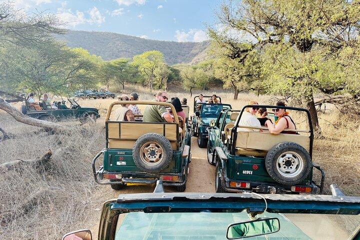 Ranthambore Tiger Reserve Private Gypsy Safari All inclusive