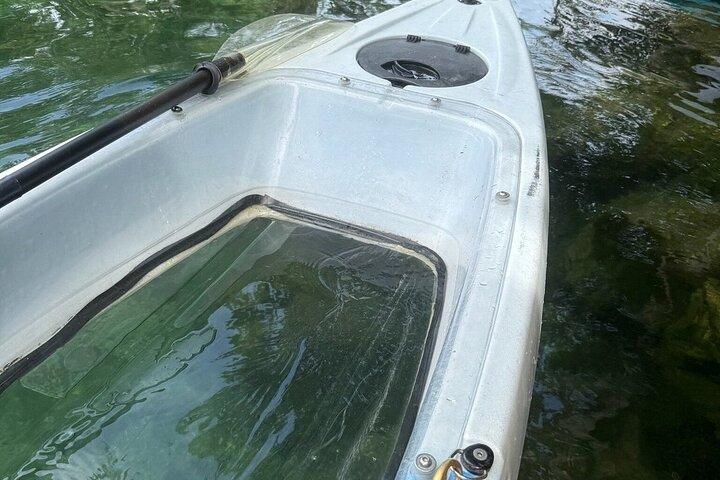 Crystal River: Three Sisters Springs, Single Clear Kayak Tour