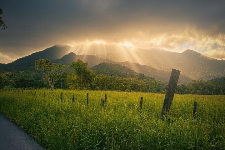 Private El Yunque Half-Day Tour with Transport