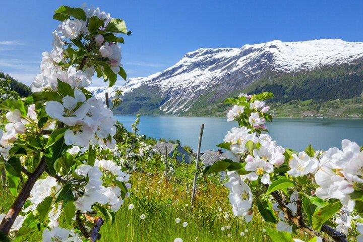 Bergen: Scenic Hardangerfjord with Waterfalls & Lunch at a Garden
