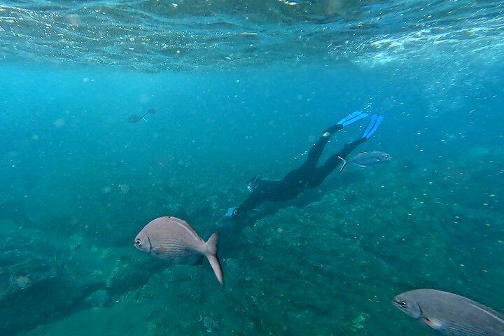 Snorkeling Tour Ilhéu from Vila Franca do Campo