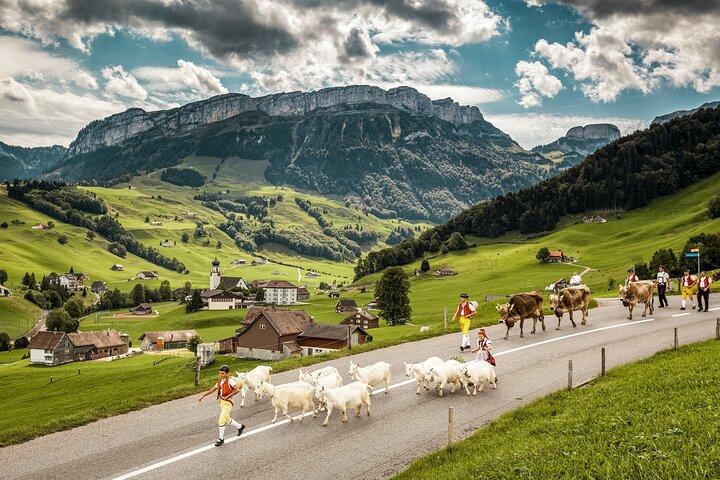 Appenzell Alps Day Trip from Zurich – Farm Life & Cheese Tasting