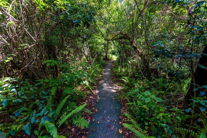 Everglades National Park Private Car Tour