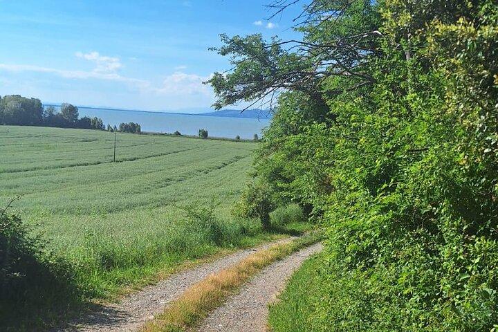 The spell of Lake Trasimeno - Trekking Tour